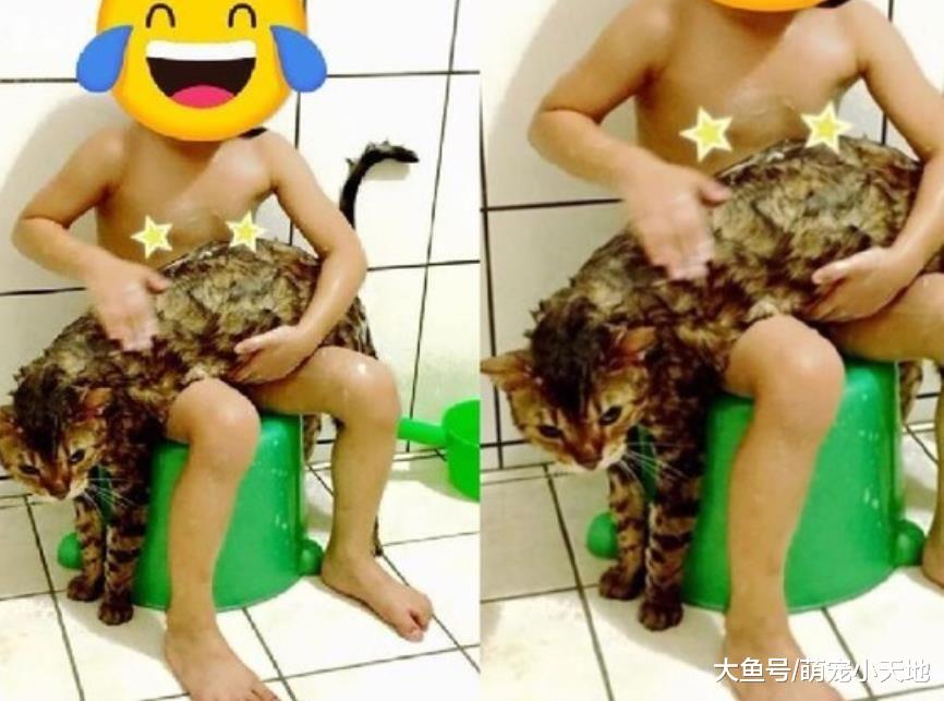 能带娃娃洗澡吗？爸开门看到猫咪哭笑不得：这娃娃也太生动了吧