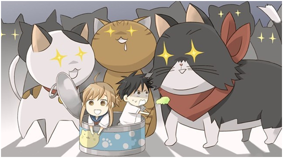 补番推荐十八---《猫愿三角恋》