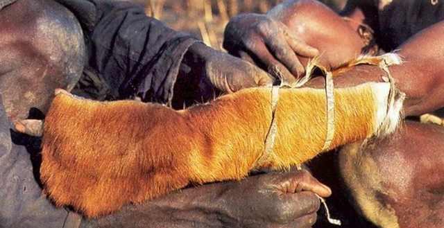 惊险！看看非洲土著人是如何捕捉巨蟒的