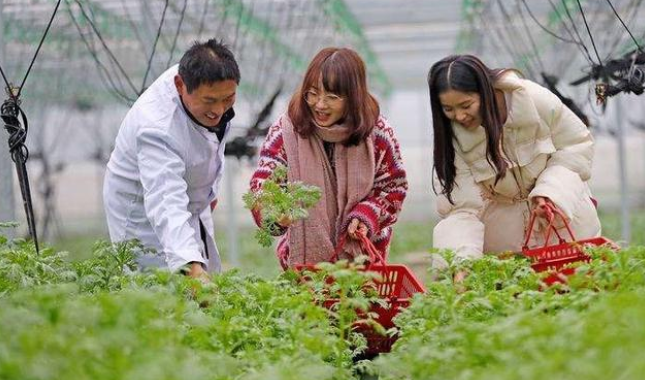 农村用人的粪尿浇菜，专家说不卫生，其实粪尿是最好的有机肥