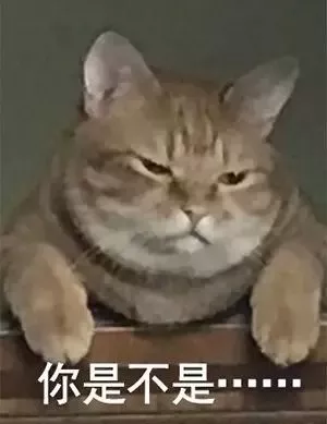 主人晚了回家喂猫，一进门就感受到事态严重…