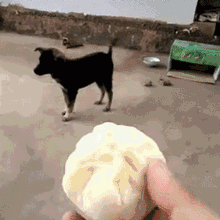 爆笑GIF：终于，十分钟后塞进去了