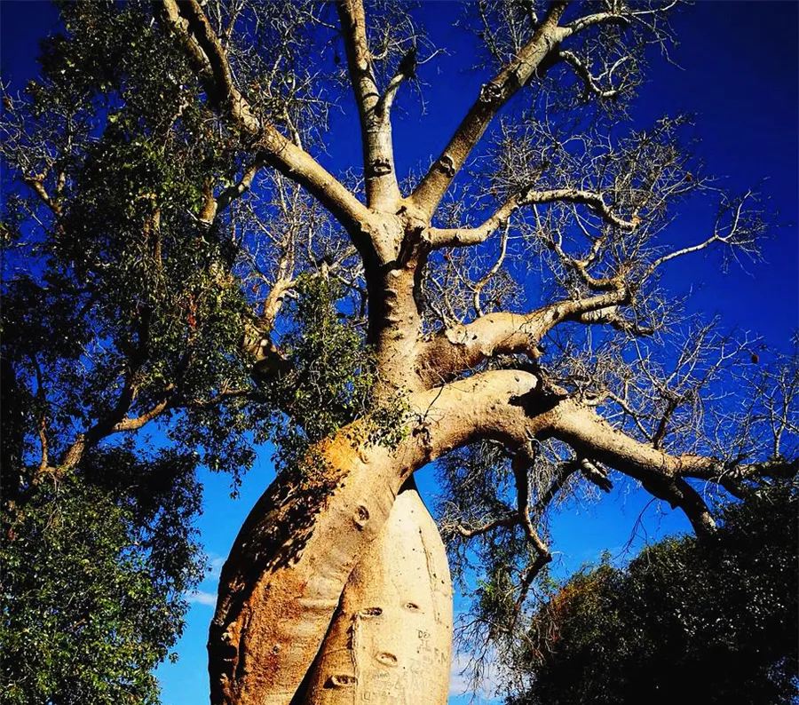 猜猜这些艺术装置，它们的灵感原型来源哪里？