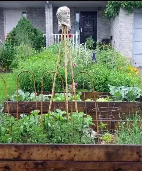 入春后，如何把“菜园”变“花园”，好吃又好看