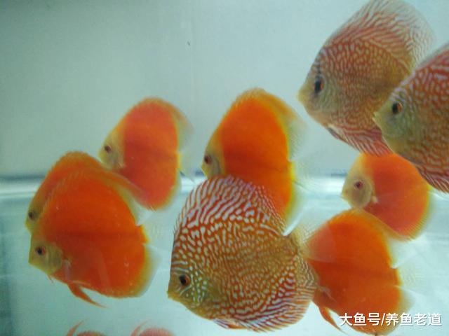 思索了很久，鱼友们碰到的所有问题，或许只有这一招才可以解决