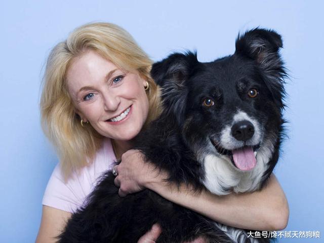 为什么那么少人养边境牧羊犬？这5点，可能就是原因！