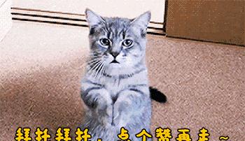 苦恋张智霖18年，是袁咏仪最不想见到的人，今43岁仍单身！