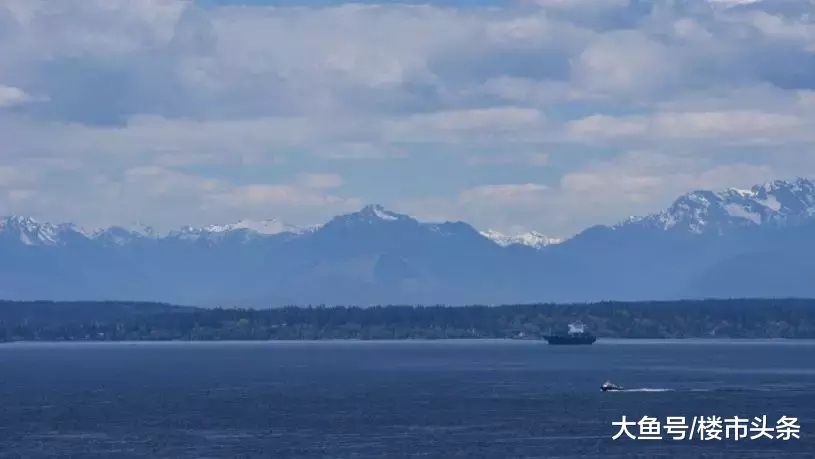 46年暴涨73倍！巴菲特“投资圣经”教你下注深圳楼市