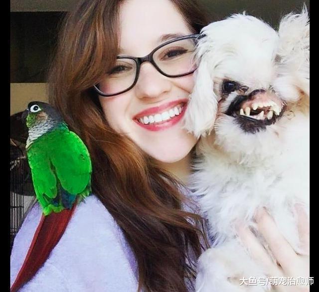 40多天大的狗狗被人故意潑上硫酸，臉部嚴重毀容已做數十次手術！