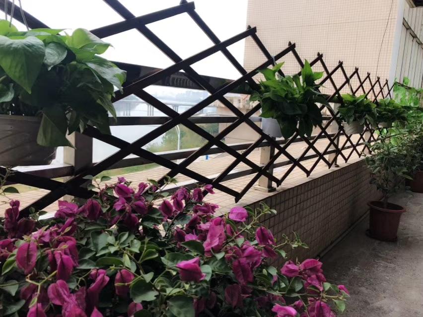 赣州房掌柜：住高层住宅好不好？灰尘哪层楼最多？