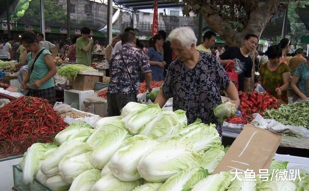 农民几分钱都卖不掉烂地里, 城里的蔬菜水果却贵到吃不起? 揭秘