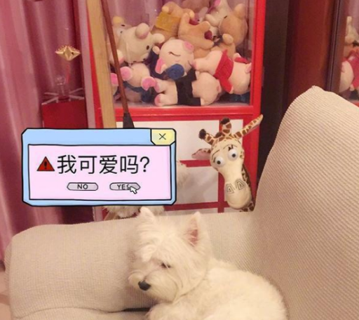 晒晒马苏住的豪宅，装修造价过千万，在圈内人缘超好