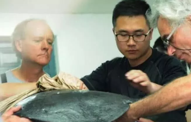 地球上最稀少动物，能活几百年仅剩3只，中国那只雌性今年去世