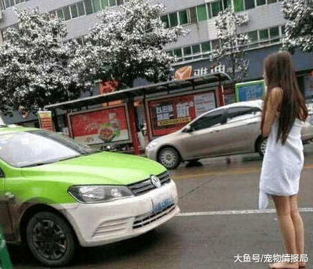 女子穿内衣游大街，背后还有一辆轿车跟着，发现猫腻后网友大骂，就该这样！