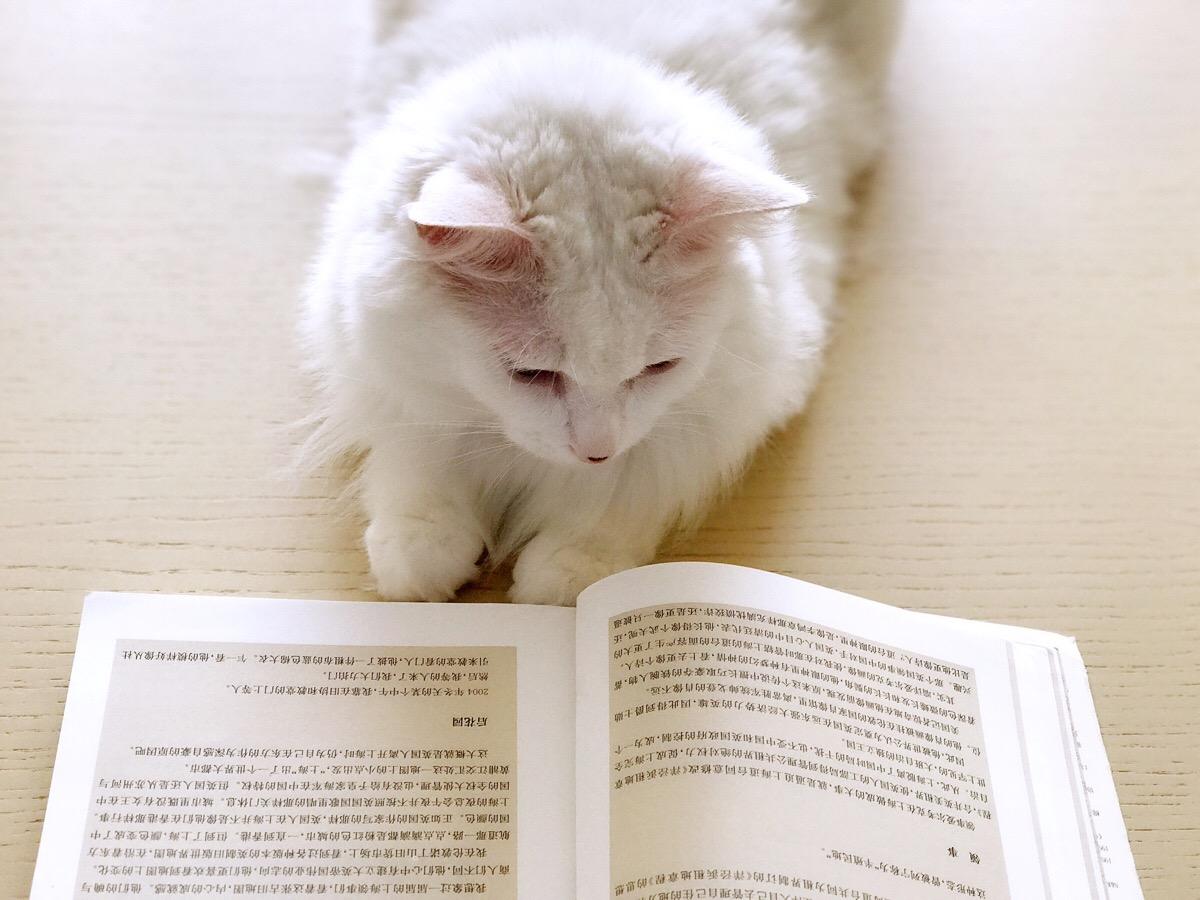 书单：让你摆脱负面情绪，正能量满满的5本励志好书