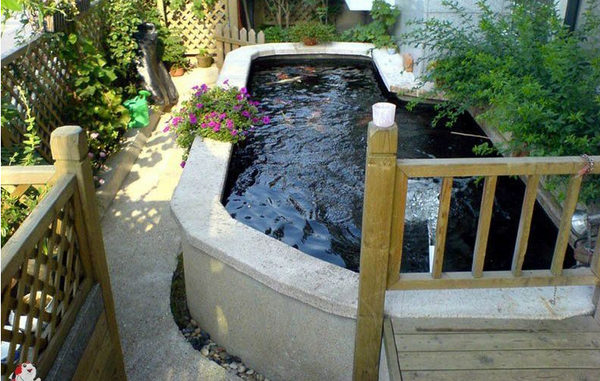 九种不祥物品千万不能放家里，你家有吗？