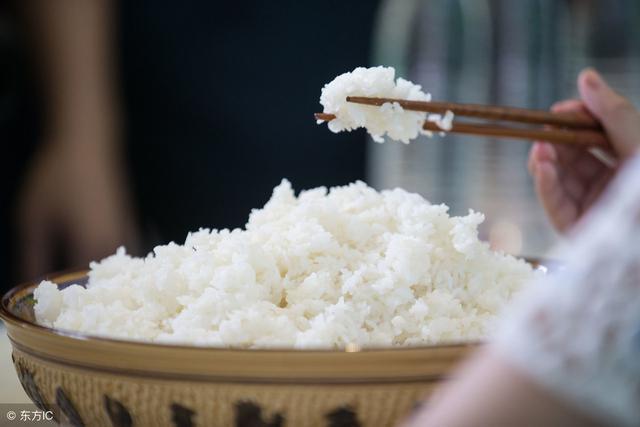 養狗小知識：過年期間，這5種人類食品，也能給比熊犬吃！