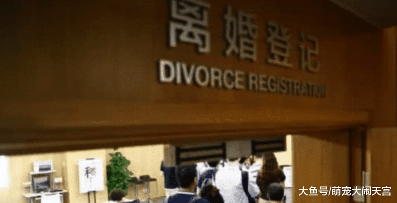 民政局离婚现场标语亮了，看到想流泪，网友：民政局真的尽力了！