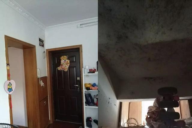 爆改55㎡老破小户型，摇身变精美温馨小窝！旧房子也能迎来春天