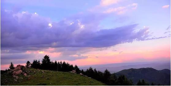 水土凭啥成为土拍黑马？