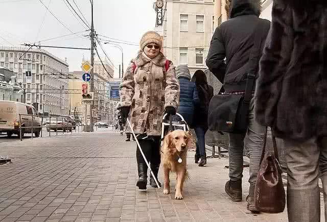 怪不得出门就容易跟着别人跑，狗狗原来是个大近视