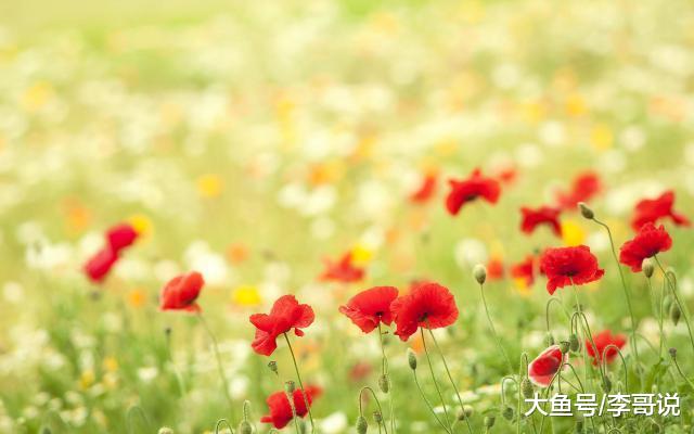 2019，少和这个人来往！