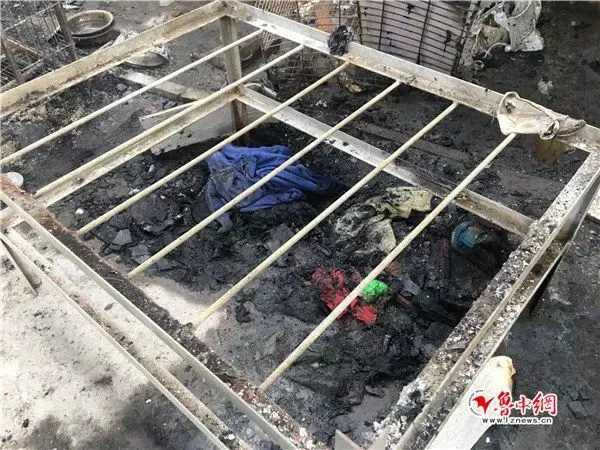 故意纵火烧死大批猫咪在中国能否定罪？