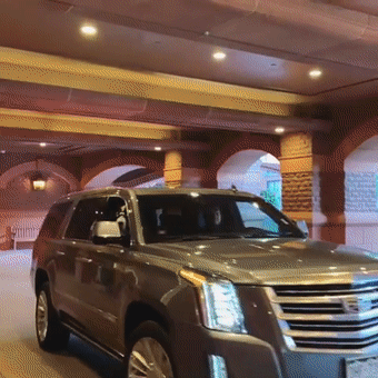 毛茸茸的狗子做酒店大堂经理，它专职拥抱顾客：欢迎光临哦！