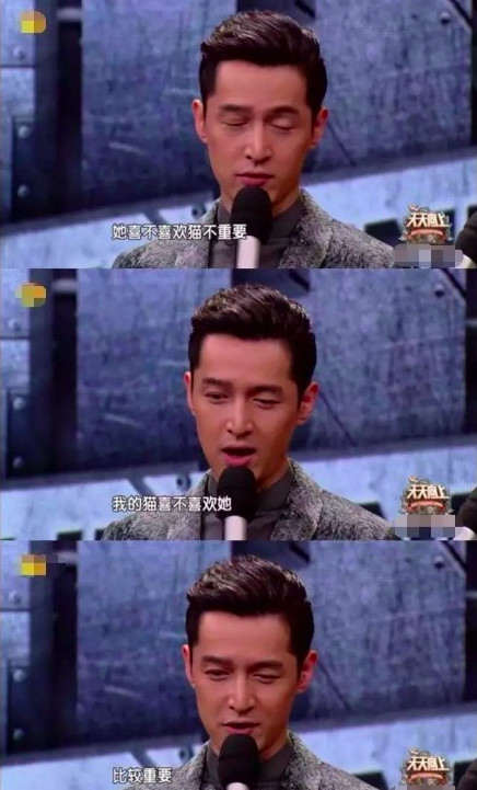 “麻麻，给我报名参加小宠伴你选美大赛”