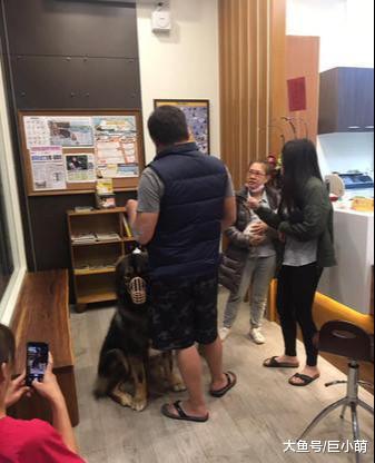 160斤大狗被主人训，绝对不能凶医生！这个医生可不能吓跑了！