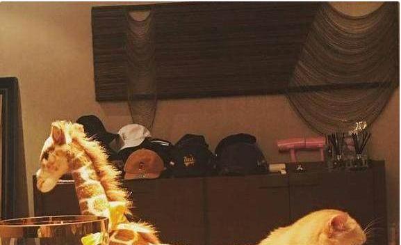 晒晒陈赫现实的家，如今心思就放在女儿上，除了工作就在陪伴