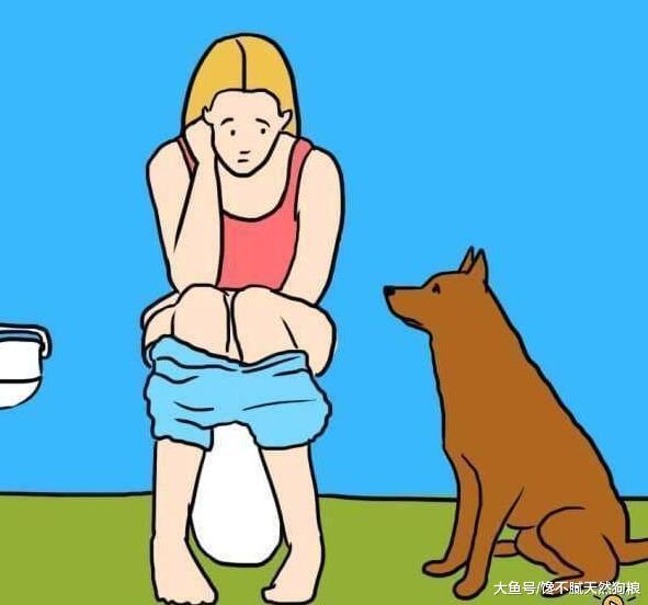 有这5个表现的狗狗，说明它是忠心犬，你没有白养