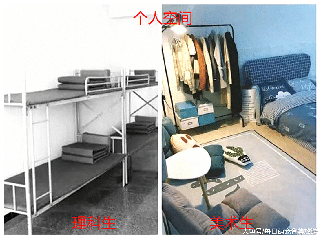 美术生VS理科生，这差距扎心了，网友：我怕是个假美术生