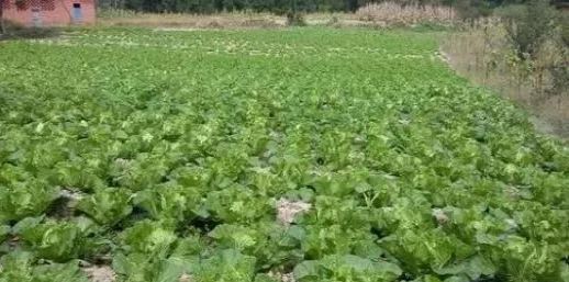 很多五台人在城里打拼并安家，为什么还要在农村老家留套房