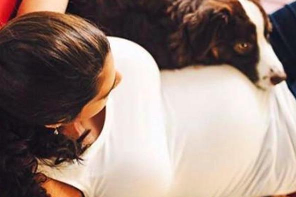 懷孕期間養狗導致胎兒畸形？