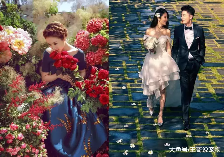 9位明星婚纱照PK，唐嫣公主风，刘诗诗扮丑，最后一对神仙眷侣