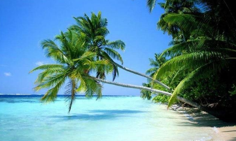 2018胡潤全球房價指數 為什么海南海口三亞霸榜？