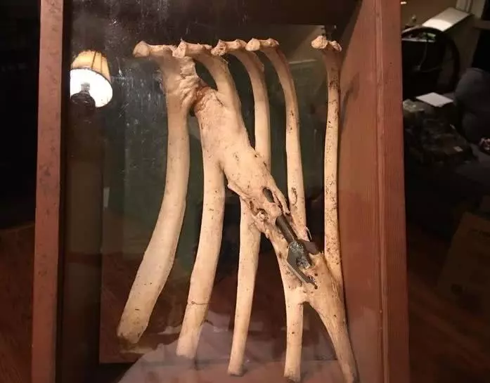 生活中永远“有惊喜”, 这些绝美的图片就是最好的证明