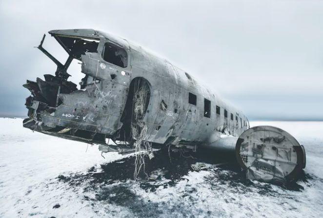 宠物智能家具的现状你知道多少？