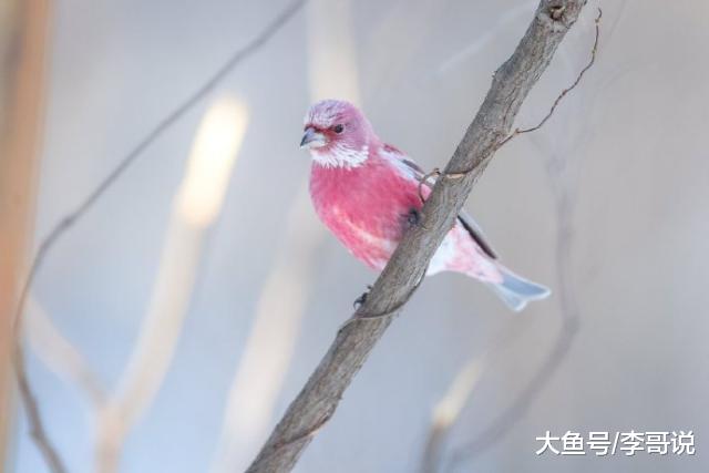 心态放宽的经典语录，内涵深刻，耐人寻味！