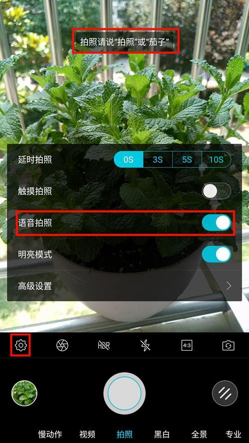 乐Pro3双摄AI版摄影技巧终章—手机拍照也能媲美单反