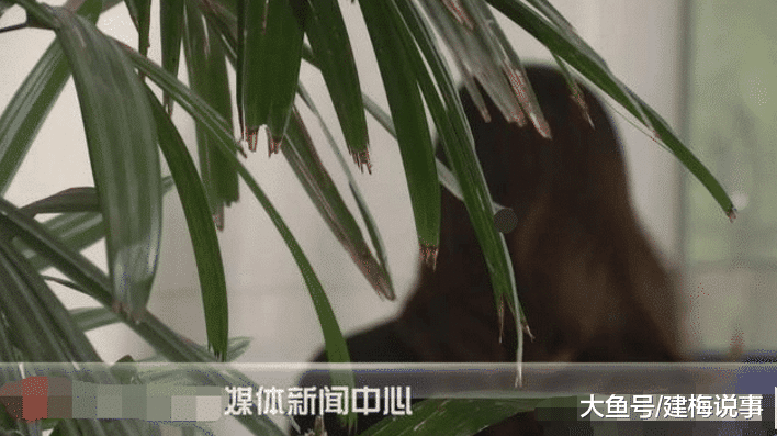 女子网贷2千元逾期一天未还,家人就收到“艳照”,对方:有本事就来抓我啊!