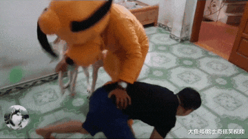 家里闯入“坏人”宠主被打，狗狗挡在主人前面，被感动到了