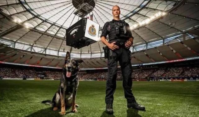 是在拍电影吗？这些帅气警犬执行任务，卖萌、耍帅样样都行！