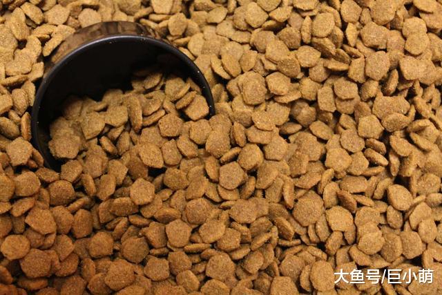 火眼金睛读懂狗粮成分表，知道这些点后，买粮自然少踩坑