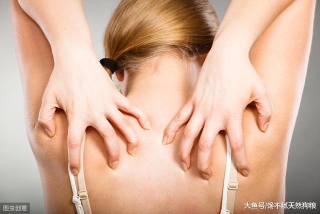 小编提醒你：和狗狗睡觉要谨慎，因为有4大坏处