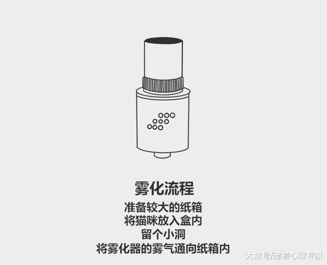 59秒冷盘点：猫咪咳嗽原因分两种，治疗方法也不同，先诊断很重要