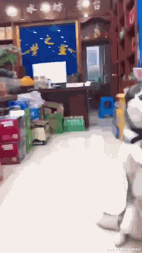 楼下小卖铺看到一只罚站的哈士奇，看二哈的眼神，我觉得它不服