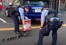 警察蜀黍出动？原来只为它们鸭！