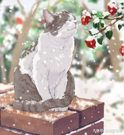 慵懒惬意的猫咪插画, 幸福得让人想哭, 不是多年的铲屎官体会不了